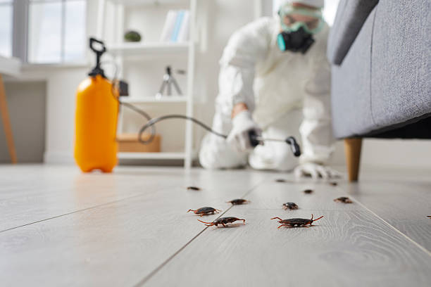 Commercial Kitchen Cockroach Control in Port Washington